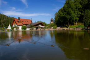 Self-check-in Ferienwohnungen & Apartments am Bergsee, Triberg Im Schwarzwald